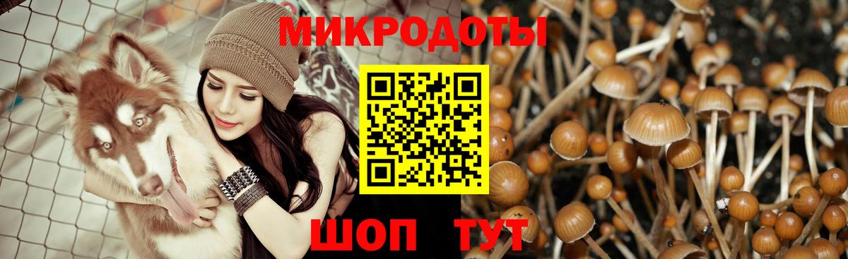 Псилоцибиновые грибы GOLDEN TEACHER Нижневартовск